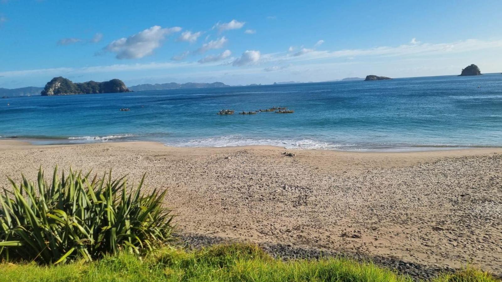 Luxury Country Retreat Leilighet Cooks Beach Eksteriør bilde